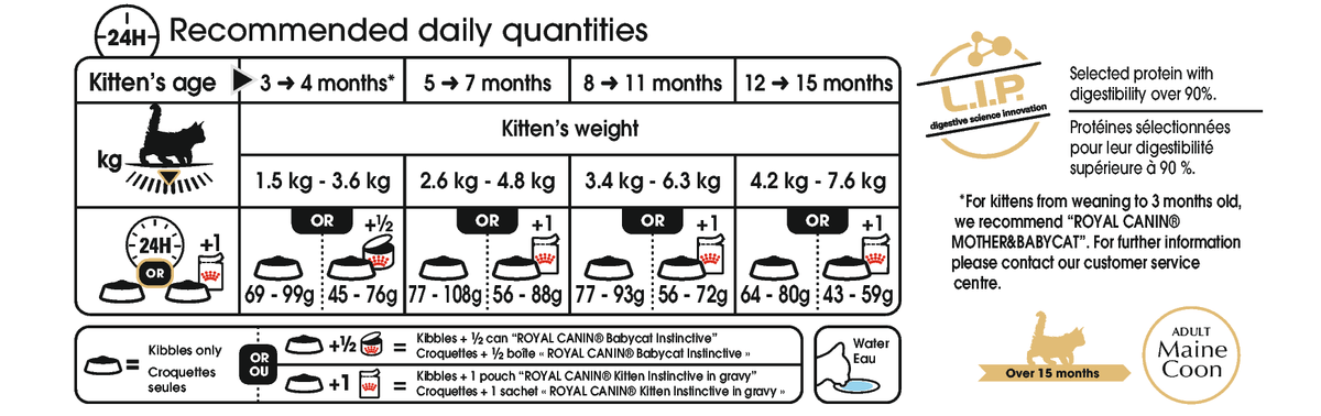 Royal Canin Maine Coon Kitten kissalle