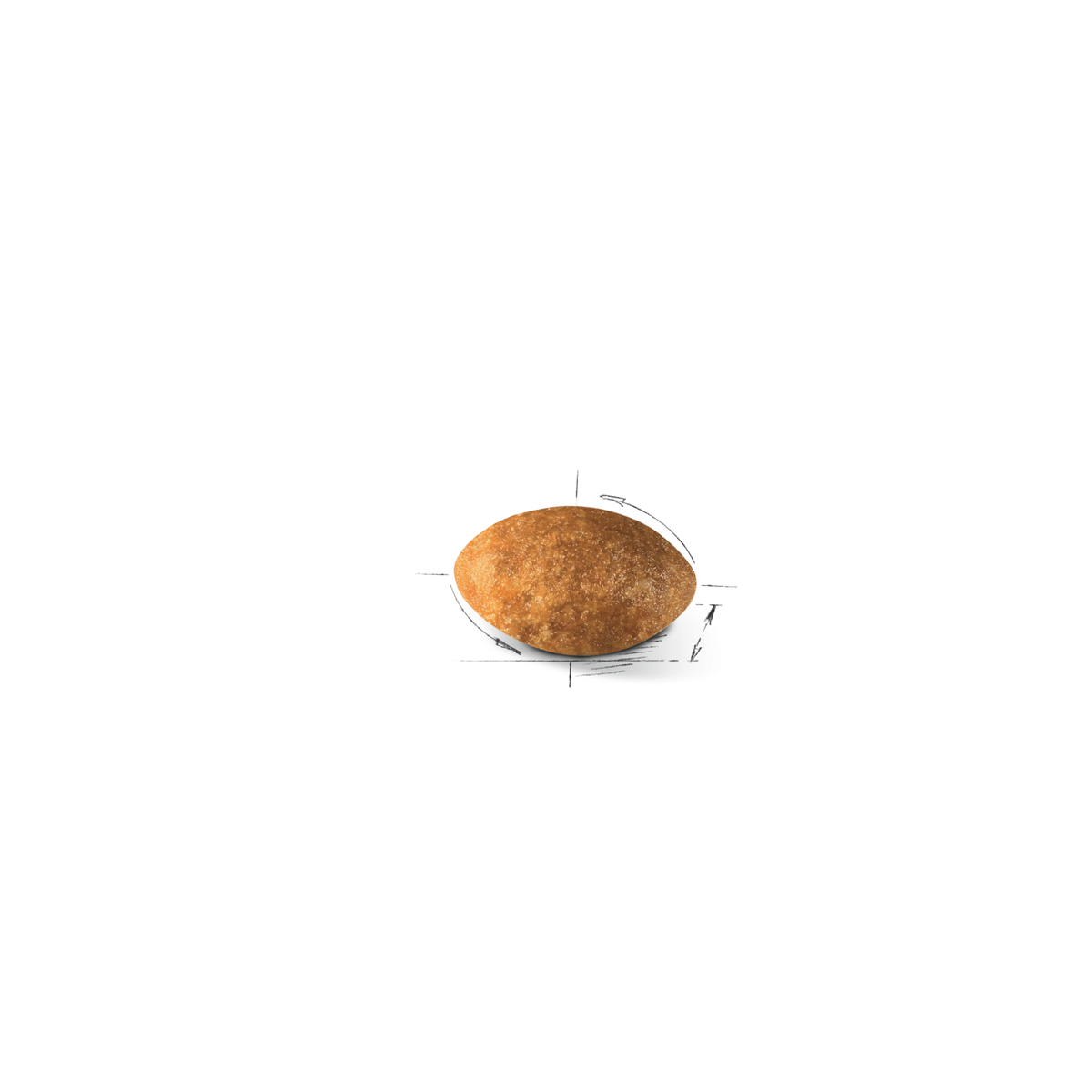 Royal Canin Persian Adult kissalle
