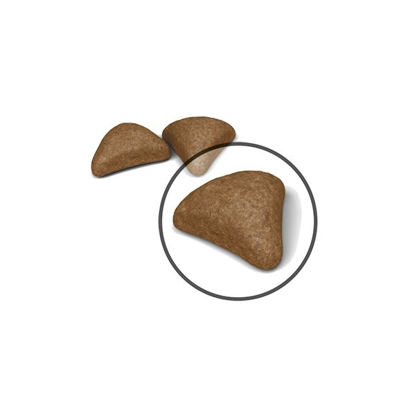 Royal Canin Hairball Care kissalle