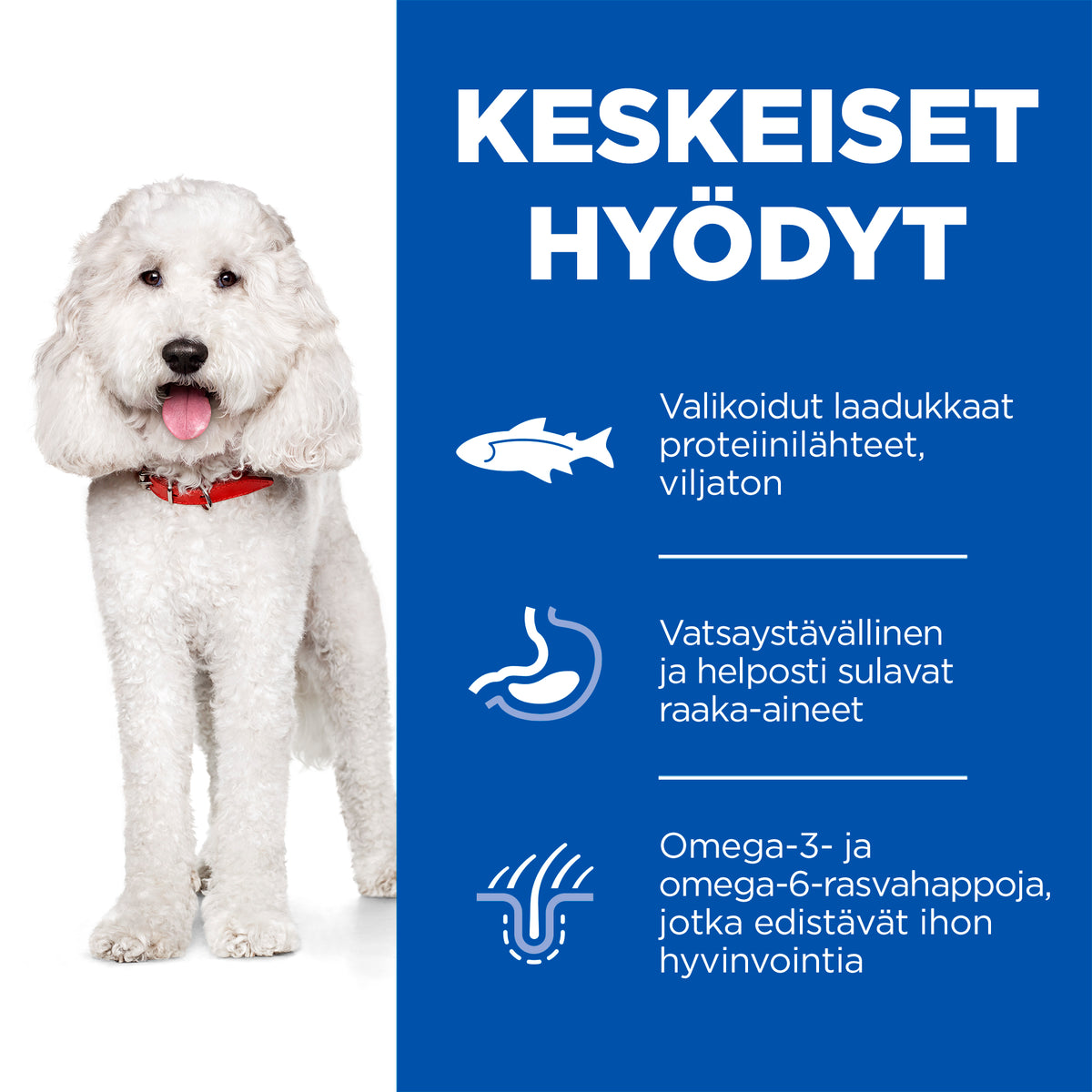 Hill's SP Hypoallergenic Adult Medium with Salmon koiralle