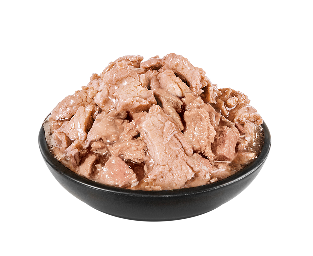PrimaCat Classic Kalkkunaa kastikkeessa steriloiduille kissoille 85 g MAISTELUPAKKAUS
