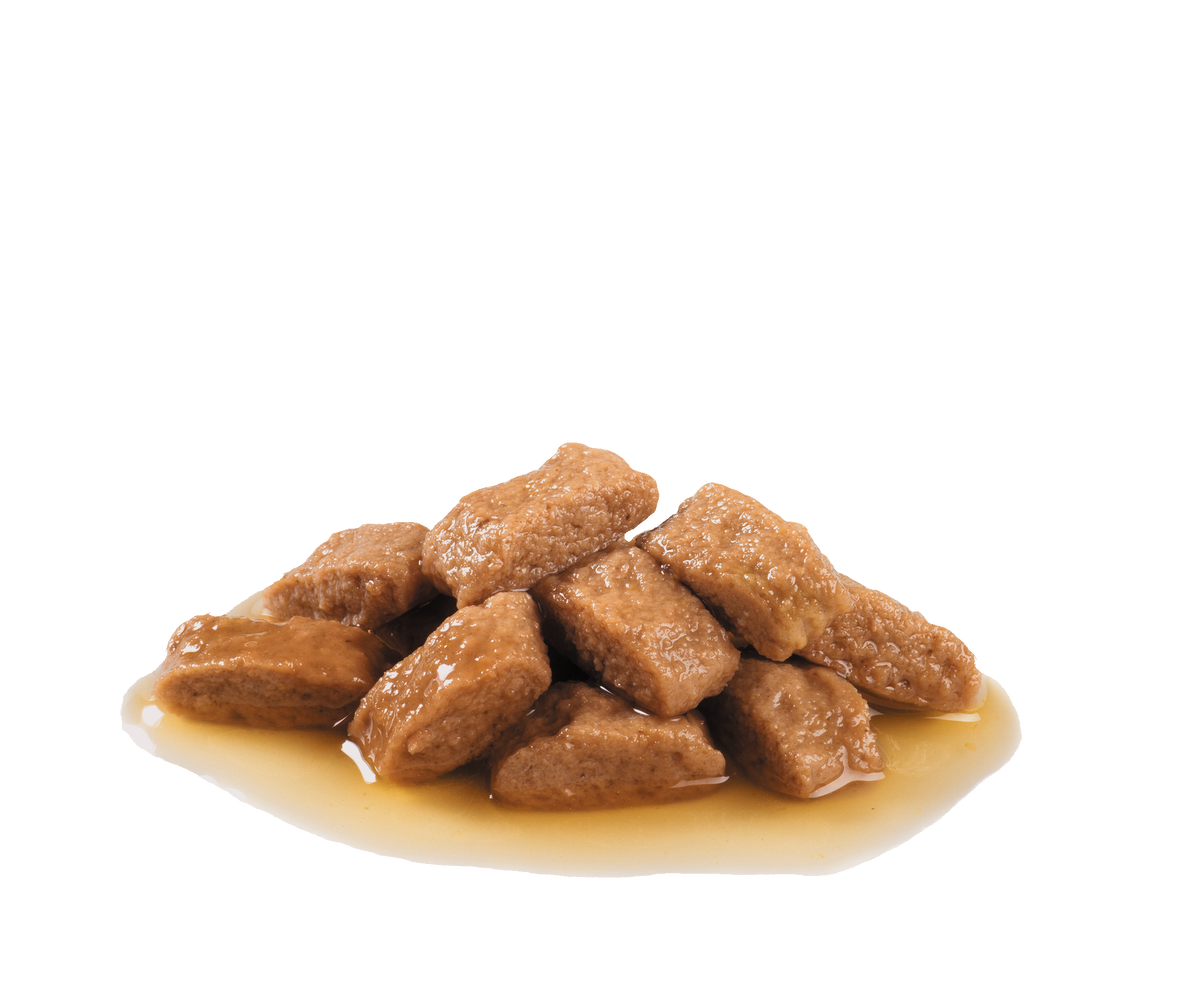 Royal Canin Medium Ageing koiralle 10 x 140 g