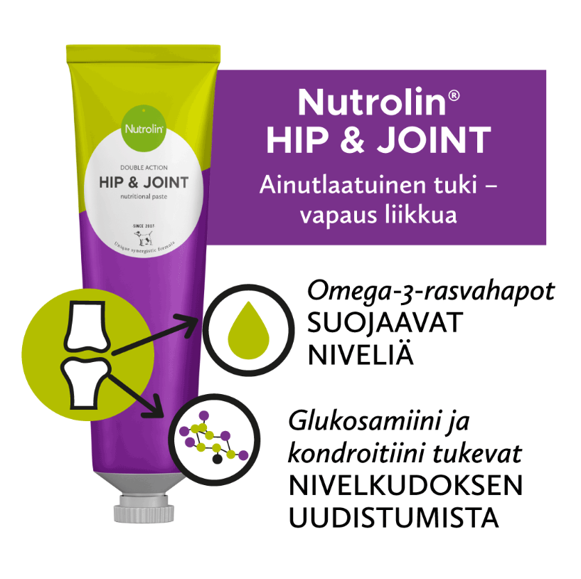 Nutrolin Hip & Joint omegatahna 3 x 200 g