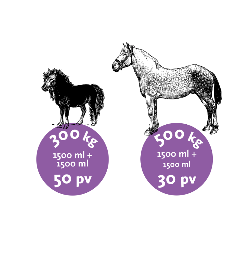 Nutrolin Horse Joint Duo hevoselle 3000 ml