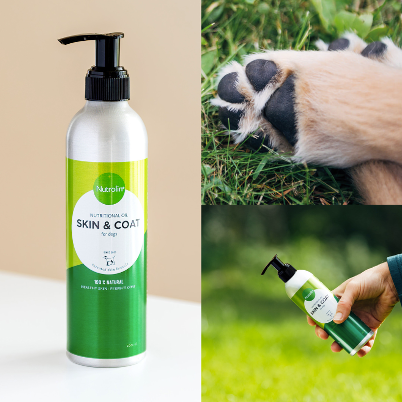 Nutrolin Skin & Coat pumppupullo koiralle