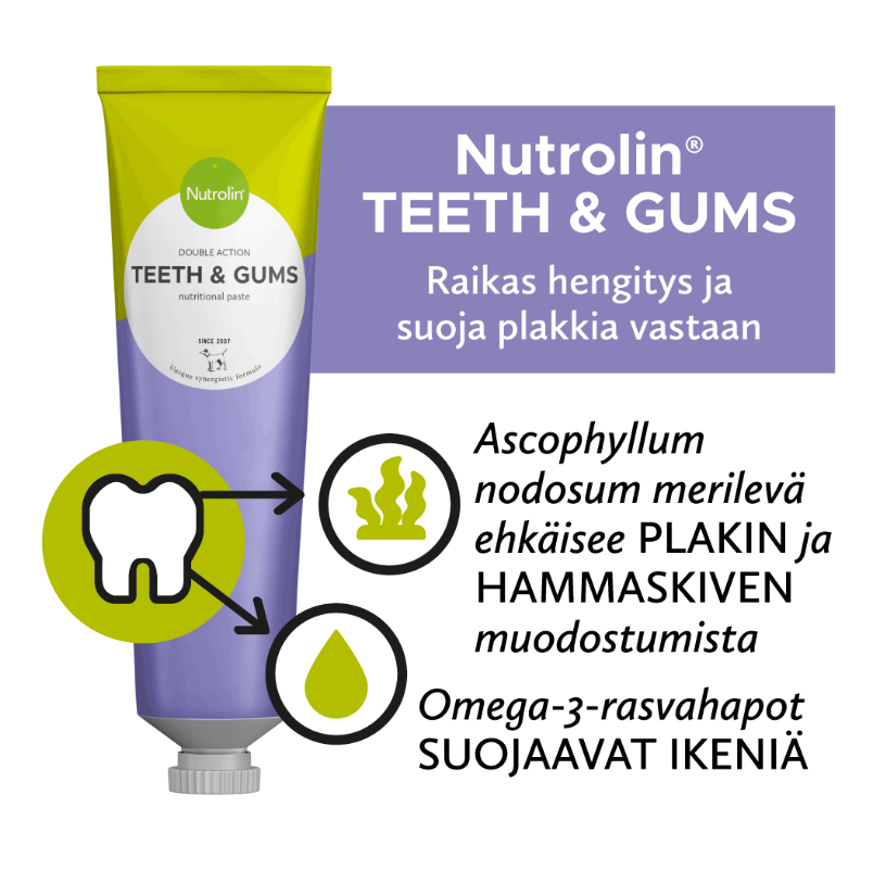 Nutrolin Teeth & Gums -omegatahna 3 x 200 g