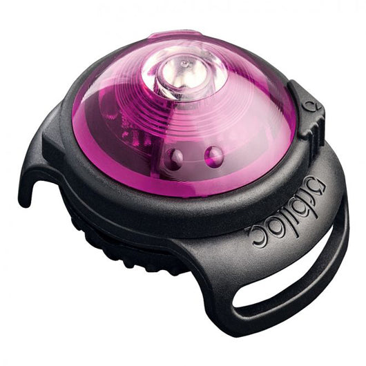 Orbiloc Dog Dual turvavalo