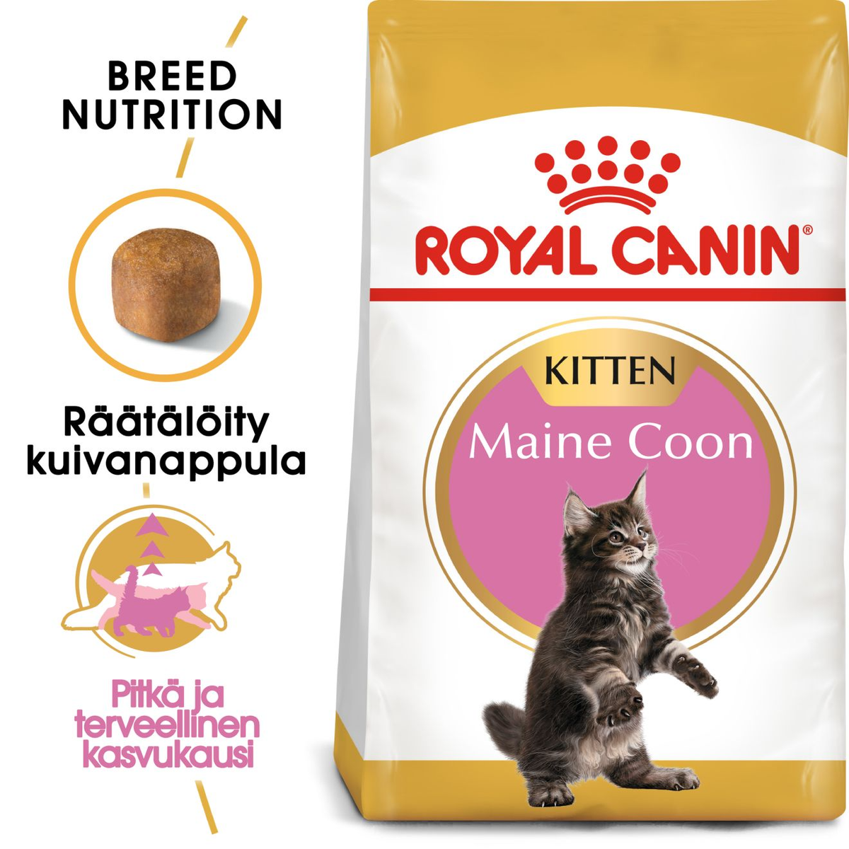 Royal Canin Maine Coon Kitten kissalle