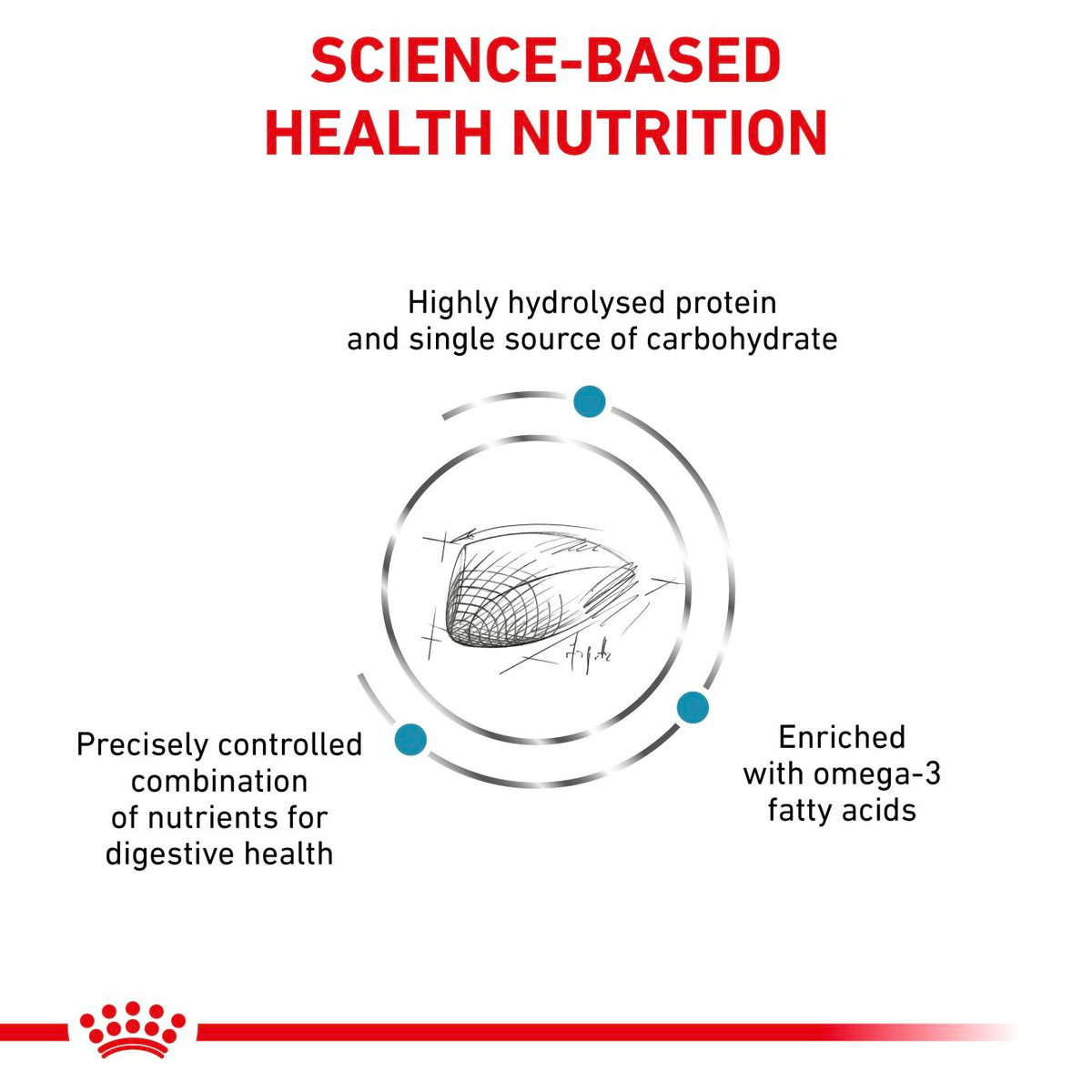 Royal Canin Veterinary Diets Derma Hypoallergenic kissan kuivaruoka