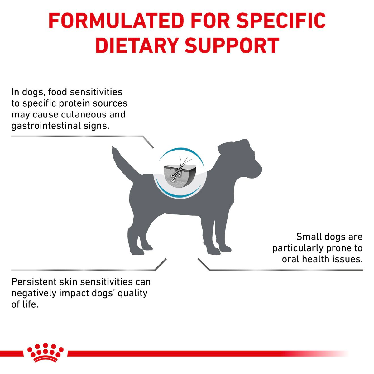 Royal Canin Veterinary Diets Derma Anallergenic Small Dogs koiran kuivaruoka