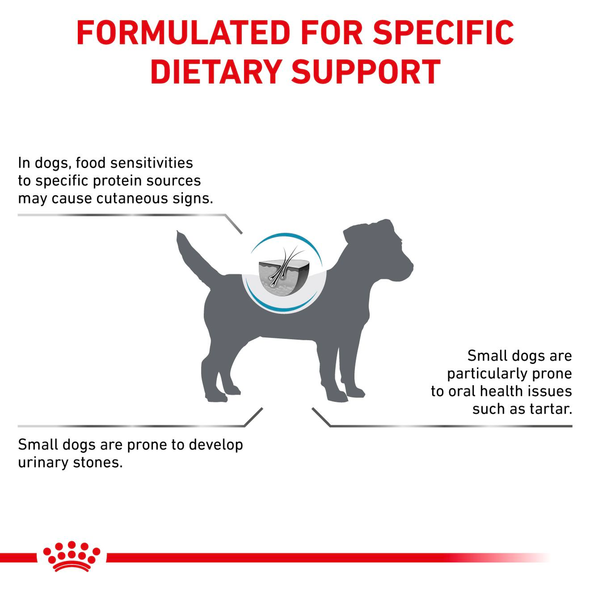 Royal Canin Veterinary Diets Derma Hypoallergenic Small Dogs koiran kuivaruoka