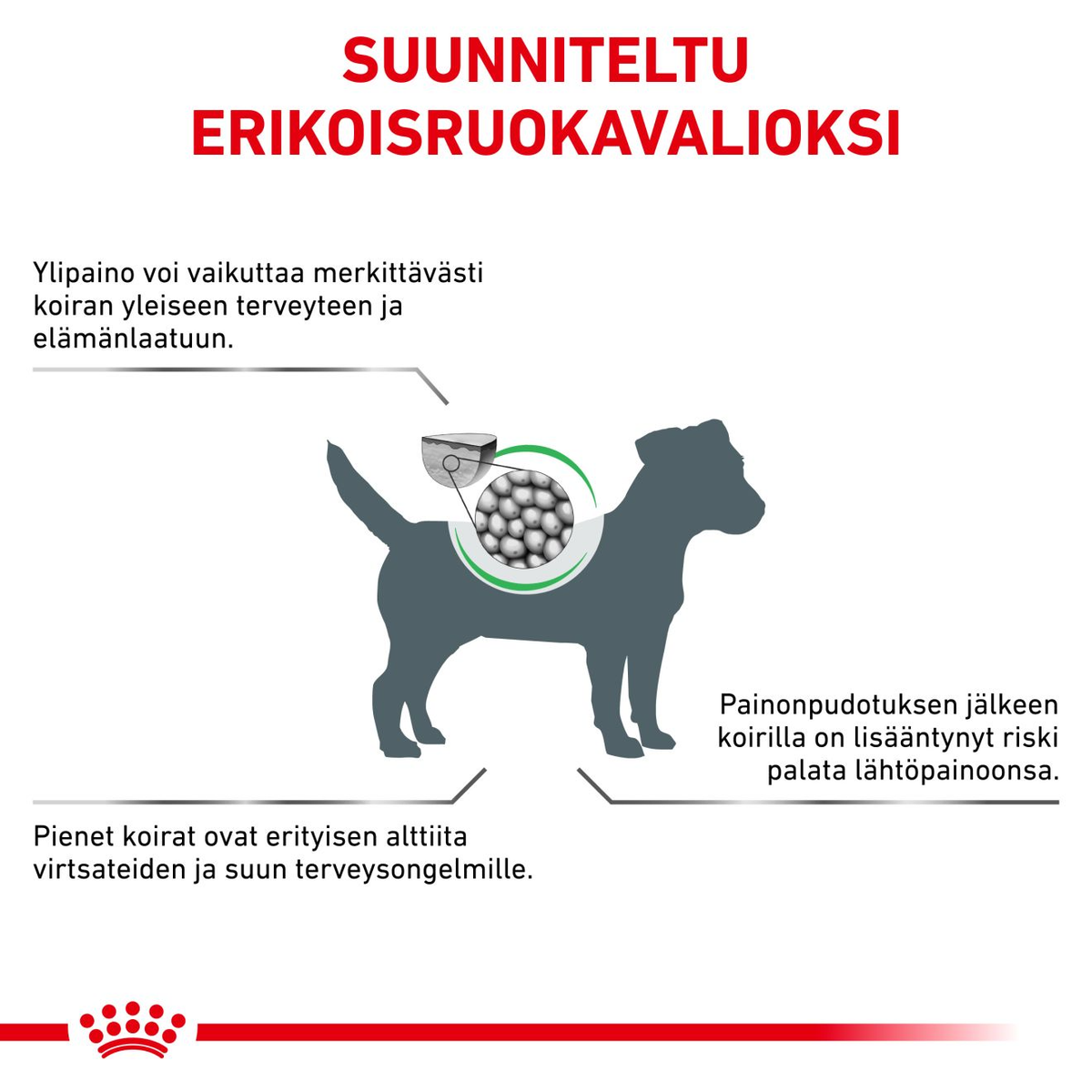 Royal Canin Veterinary Diets Weight Management Satiety Small Dogs koiran kuivaruoka