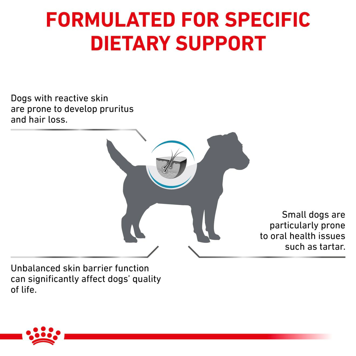 Royal Canin Veterinary Diets Derma Skin Care Small Dogs koiran kuivaruoka