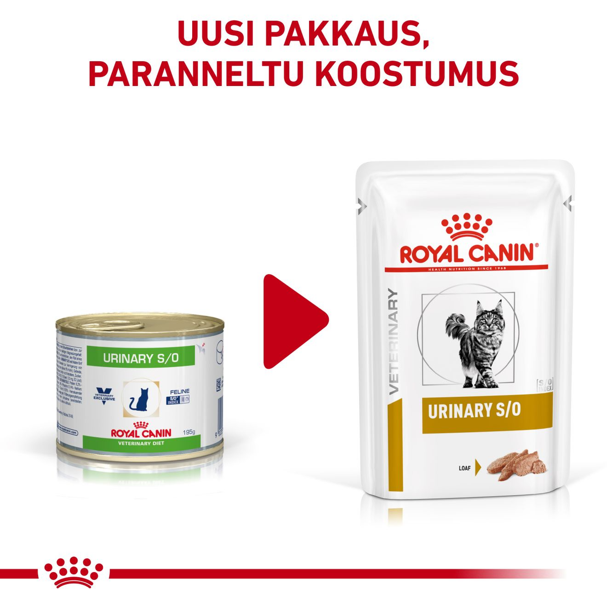 Royal Canin Veterinary Diets Urinary S/O Loaf annospussi kissan märkäruoka 12 x 85 g