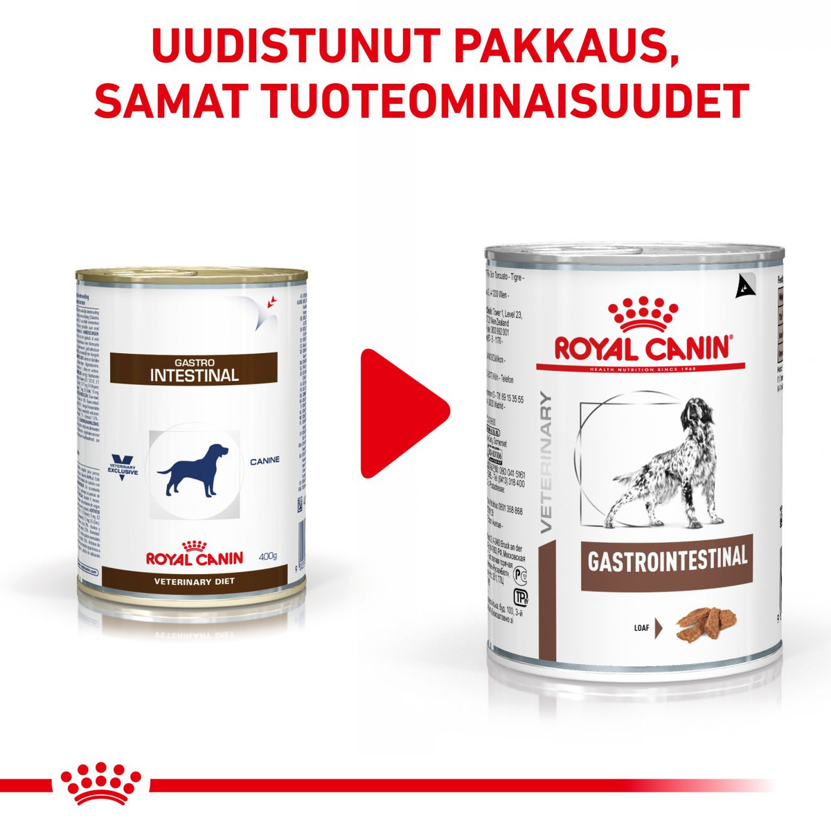Royal Canin Veterinary Diets Gastrointestinal Loaf säilykepurkki koiran märkäruoka 200 g MAISTELUPAKKAUS