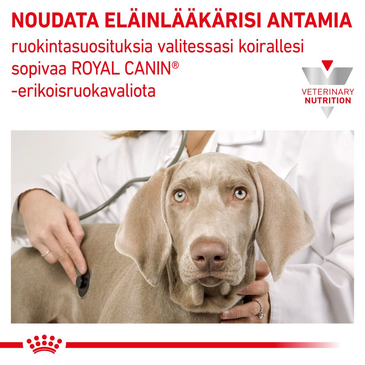 Royal Canin Veterinary Diets Gastrointestinal Puppy Mousse säilykepurkki koiran märkäruoka 195 g MAISTELUPAKKAUS