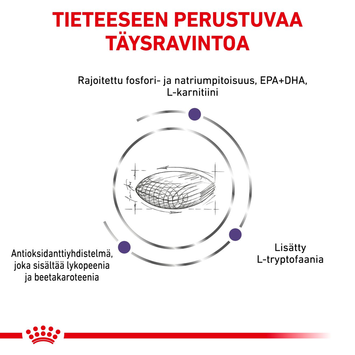 Royal Canin Veterinary Diets Health Management Mature Consult small dog koiran kuivaruoka 3,5 kg