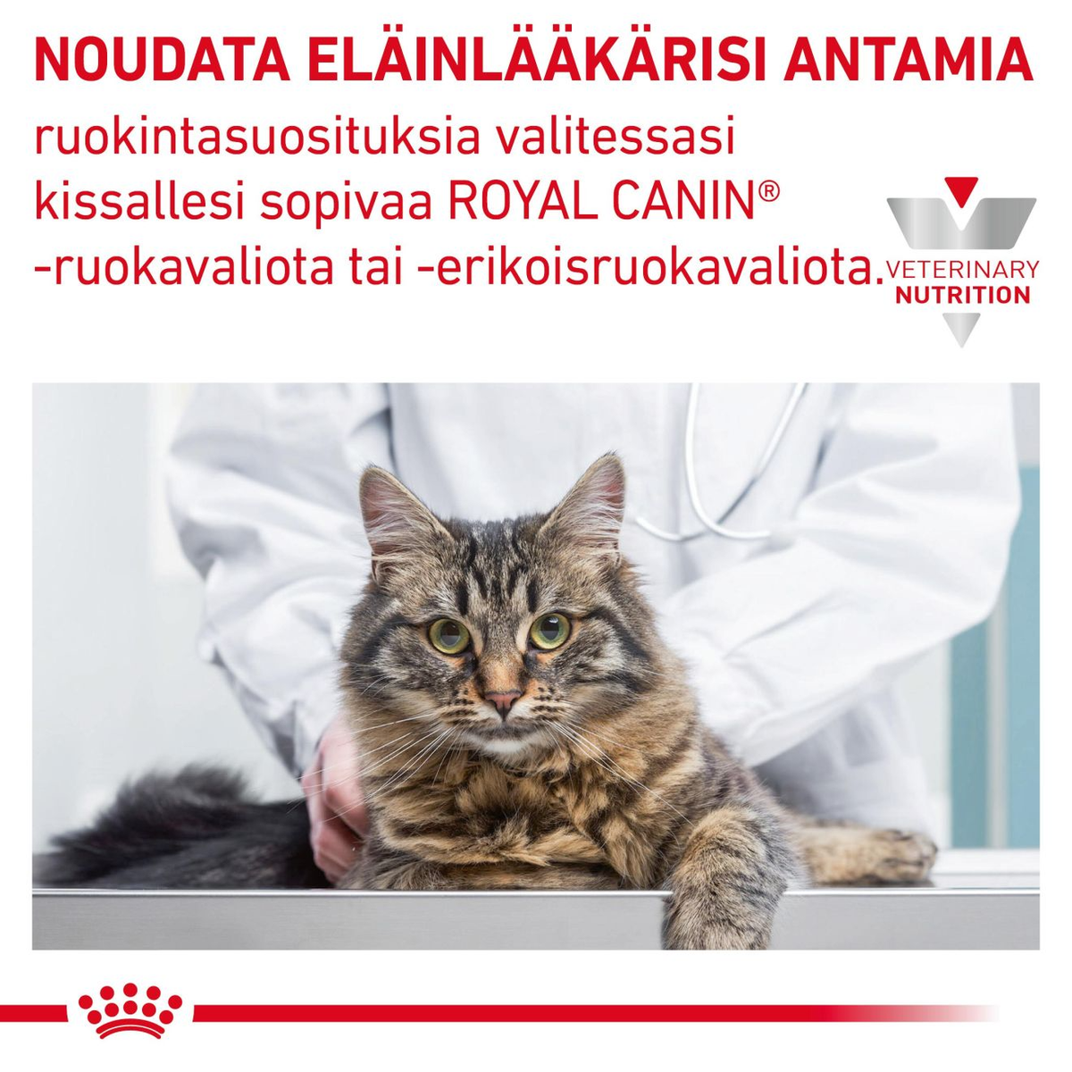 Royal Canin Veterinary Diets Derma Sensitivity Control Chicken annospussi kissan märkäruoka 12 x 85 g