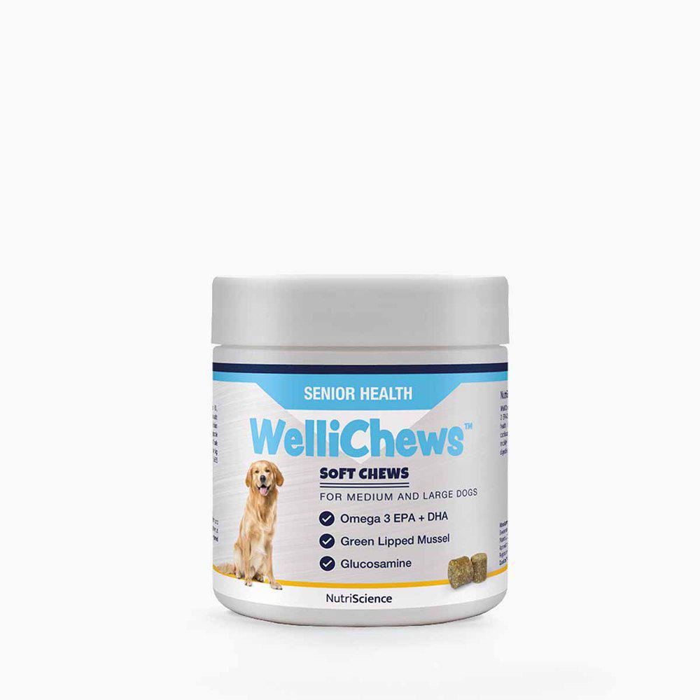 Wellichews Senior medium & large breed 60 kpl