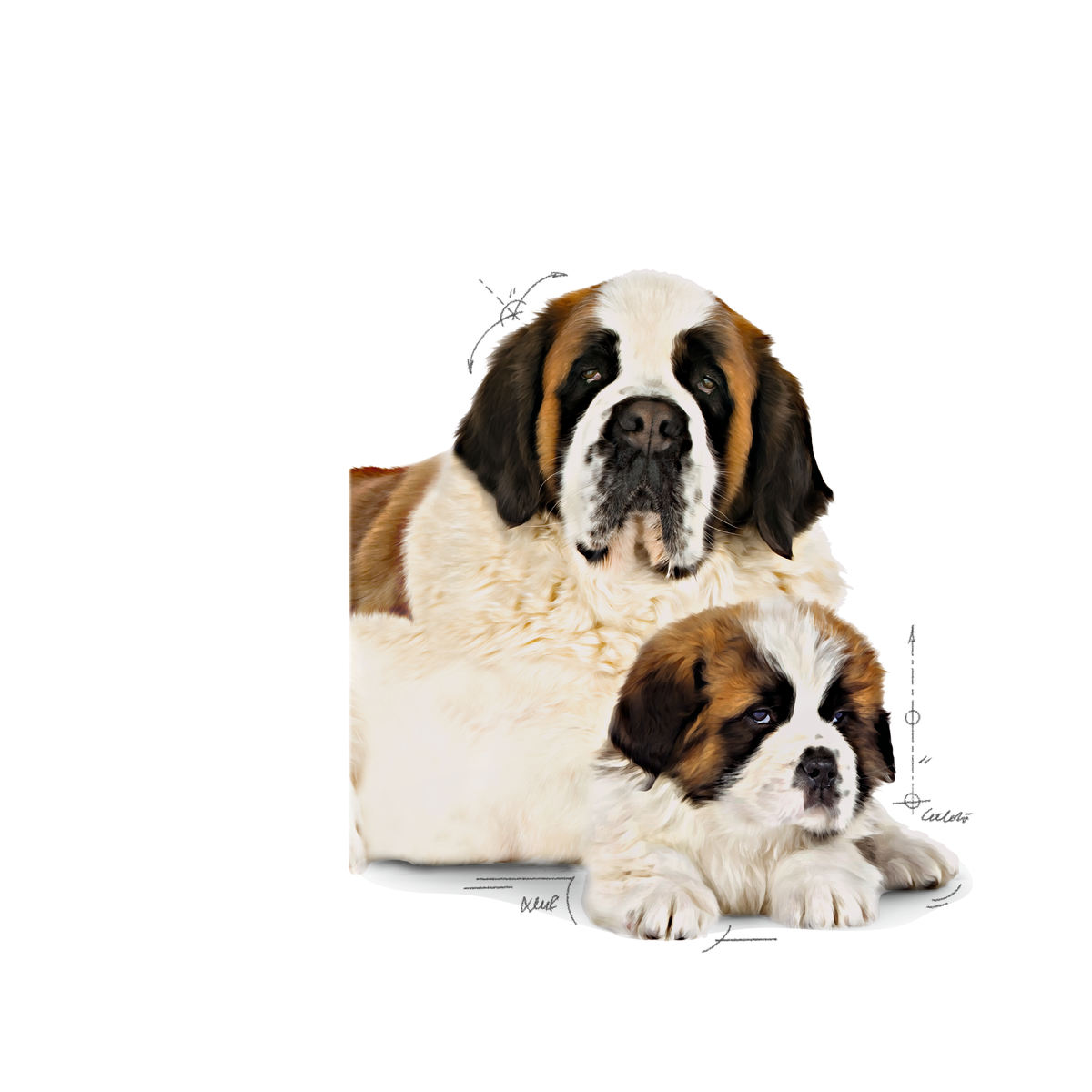 Royal Canin Giant Starter koiralle 15 kg