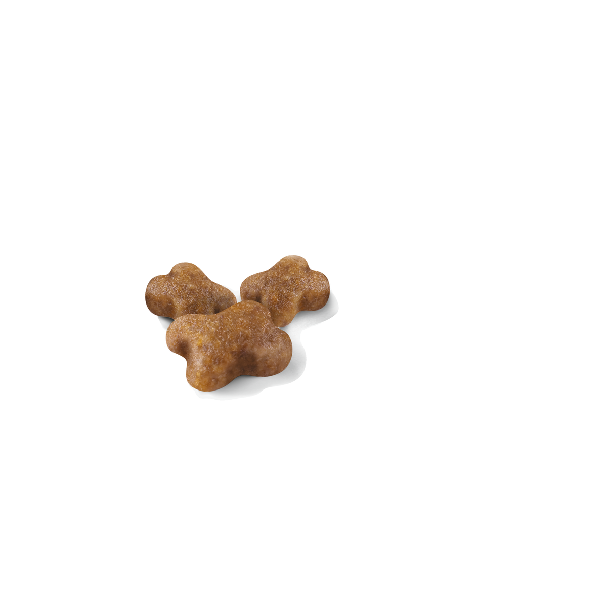 Royal Canin Kitten kissalle