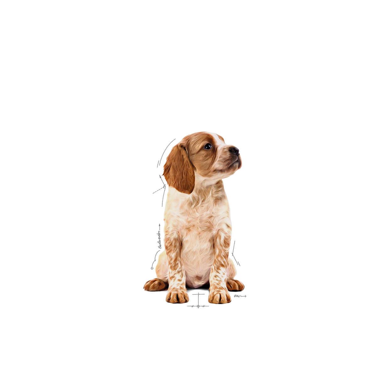 Royal Canin Medium Puppy koiralle 10 x 140 g