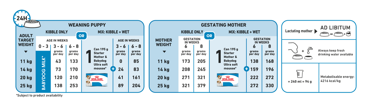 Royal Canin Medium Starter koiralle