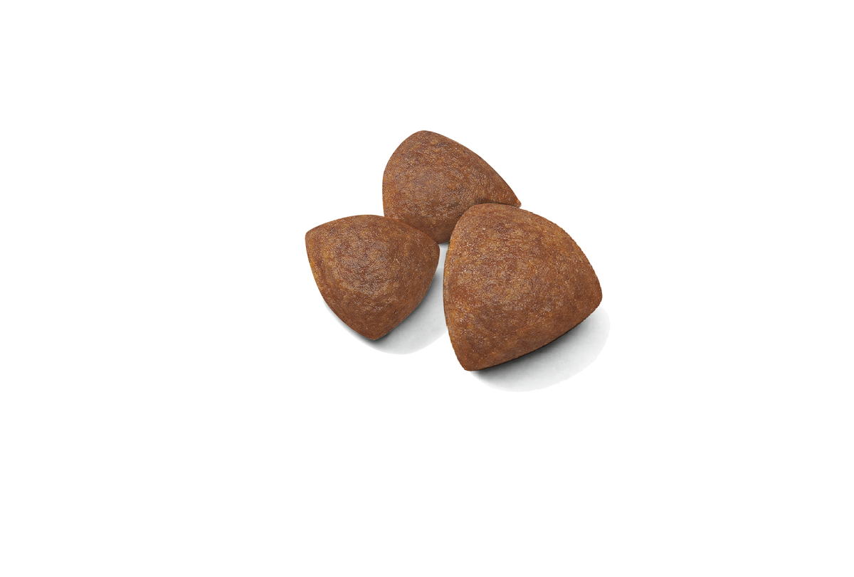 Royal Canin Medium Starter koiralle