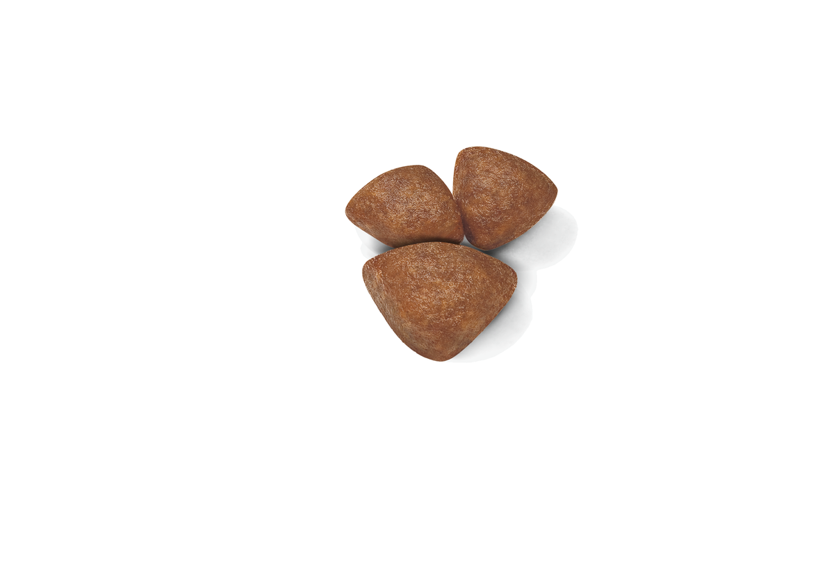 Royal Canin Mini Starter koiralle