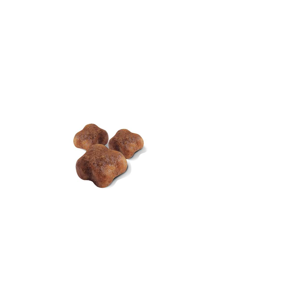 Royal Canin Mother & Babycat kissalle
