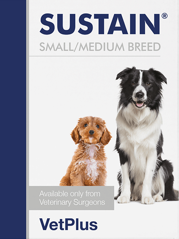 Sustain Small/Medium Breed koiralle 30 x 2,7 g