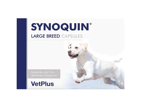 Synoquin Large Breed koiralle 4 x 30 kapselia SÄÄSTÖPAKKAUS