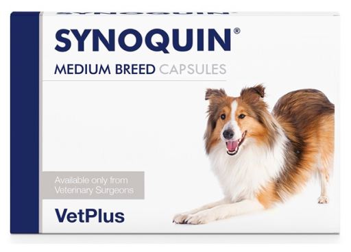Synoquin Medium Breed koiralle 4 x 30 kapselia SÄÄSTÖPAKKAUS