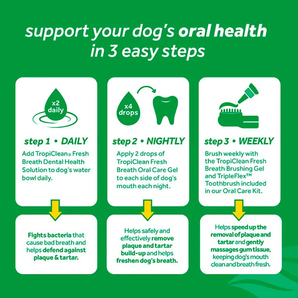 Tropiclean Clean teeth oral gel koirille