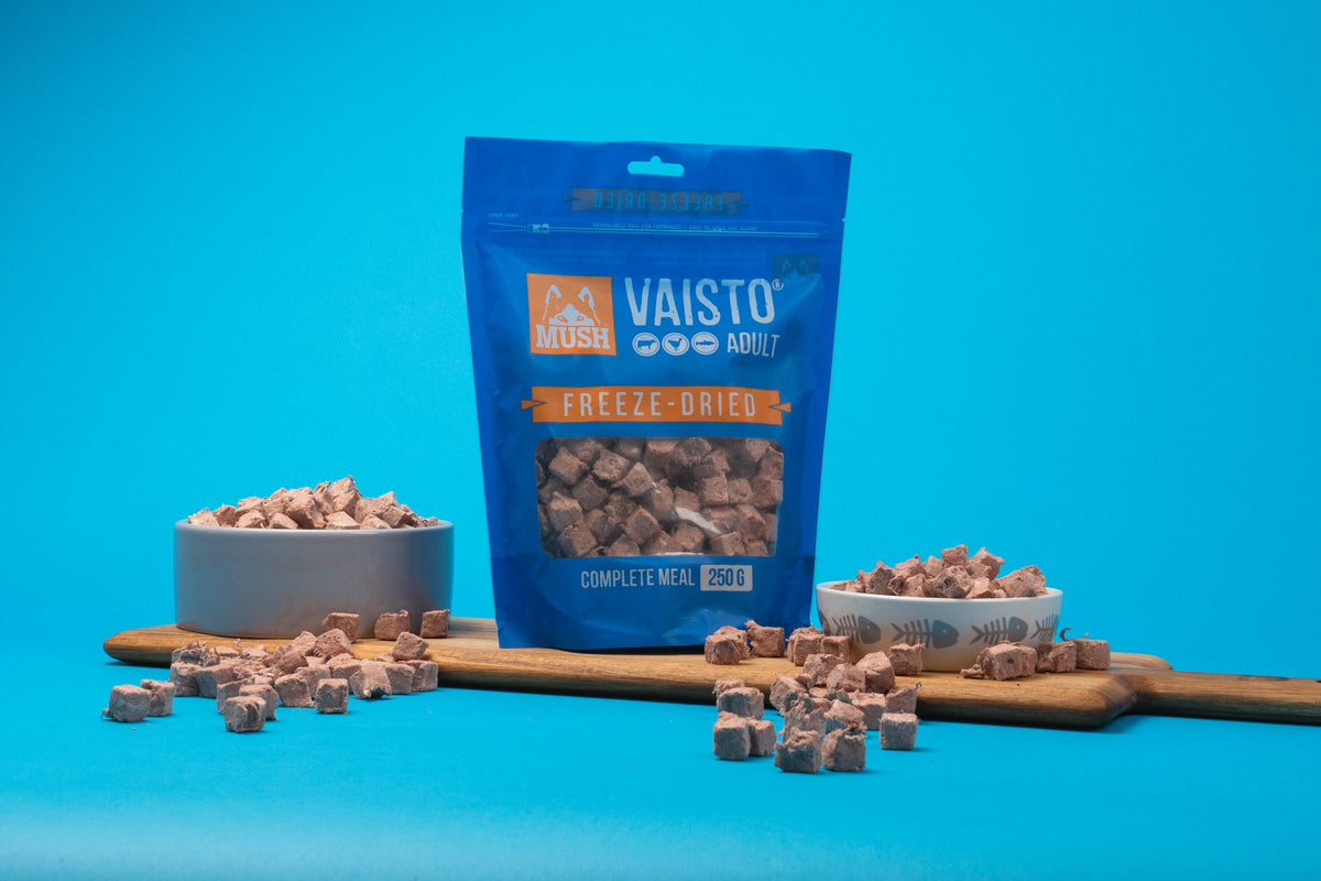 MUSH Vaisto Sininen Freeze-Dried