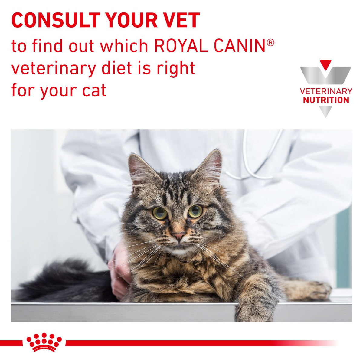 Royal Canin Veterinary Diets Gastrointestinal Fibre Response Chunks in Gravy Pouch kissan märkäruoka 12 x 85 g
