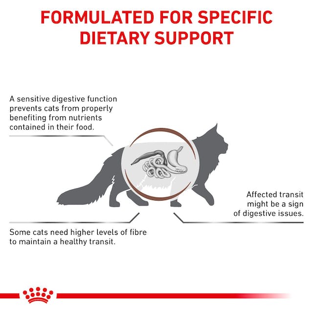Royal Canin Veterinary Diets Gastrointestinal Fibre Response Chunks in Gravy Pouch kissan märkäruoka 12 x 85 g