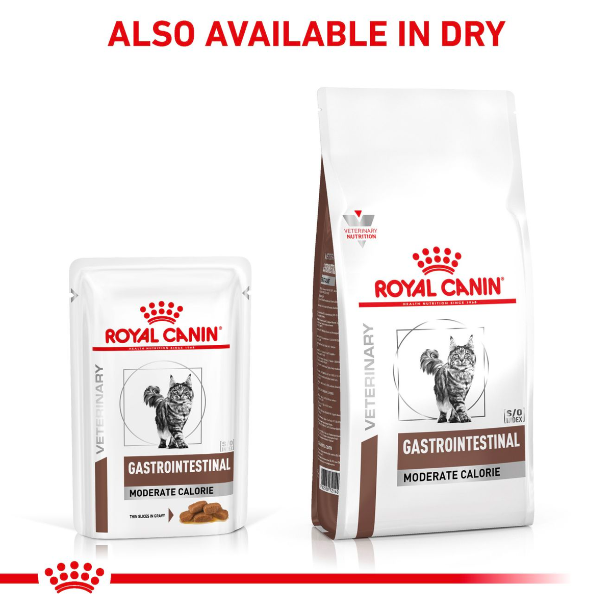 Royal Canin Veterinary Diets Gastrointestinal Moderate Calorie Slices In Gravy kissan märkäruoka 12 x 85 g