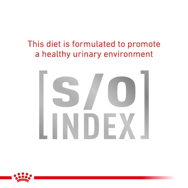 Royal Canin Veterinary Diets Gastrointestinal Fibre Response Chunks in Gravy Pouch kissan märkäruoka 12 x 85 g