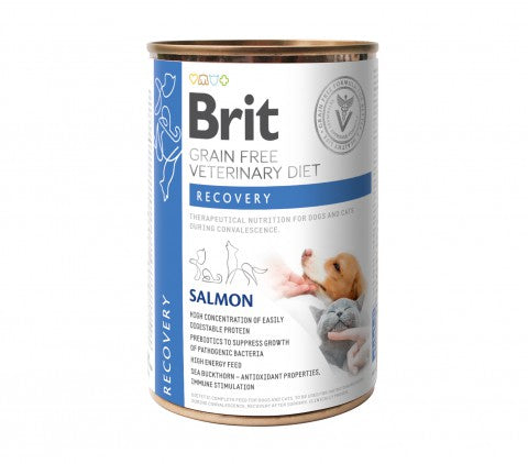 Brit Veterinary Diet Recovery Salmon märkäruoka kissalle ja koiralle 400 g MAISTELUPAKKAUS
