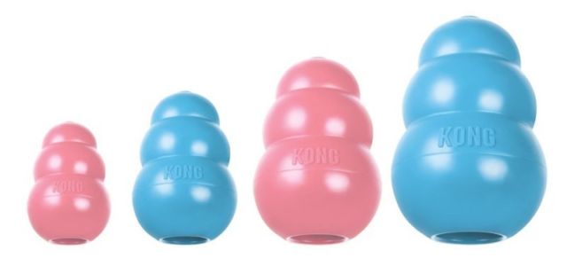 Kong Puppy Sininen - S