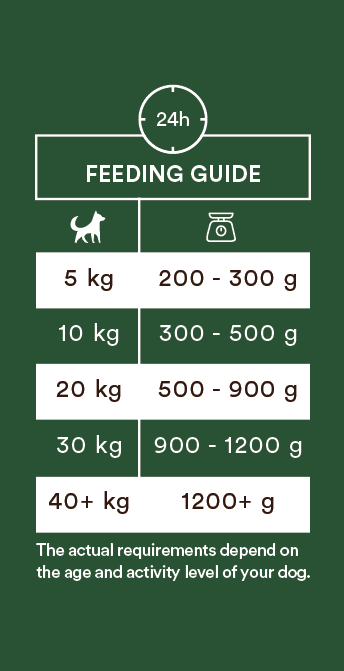 Monster Dog Adult Single Protein Lamb koiralle 400 g MAISTELUPAKKAUS