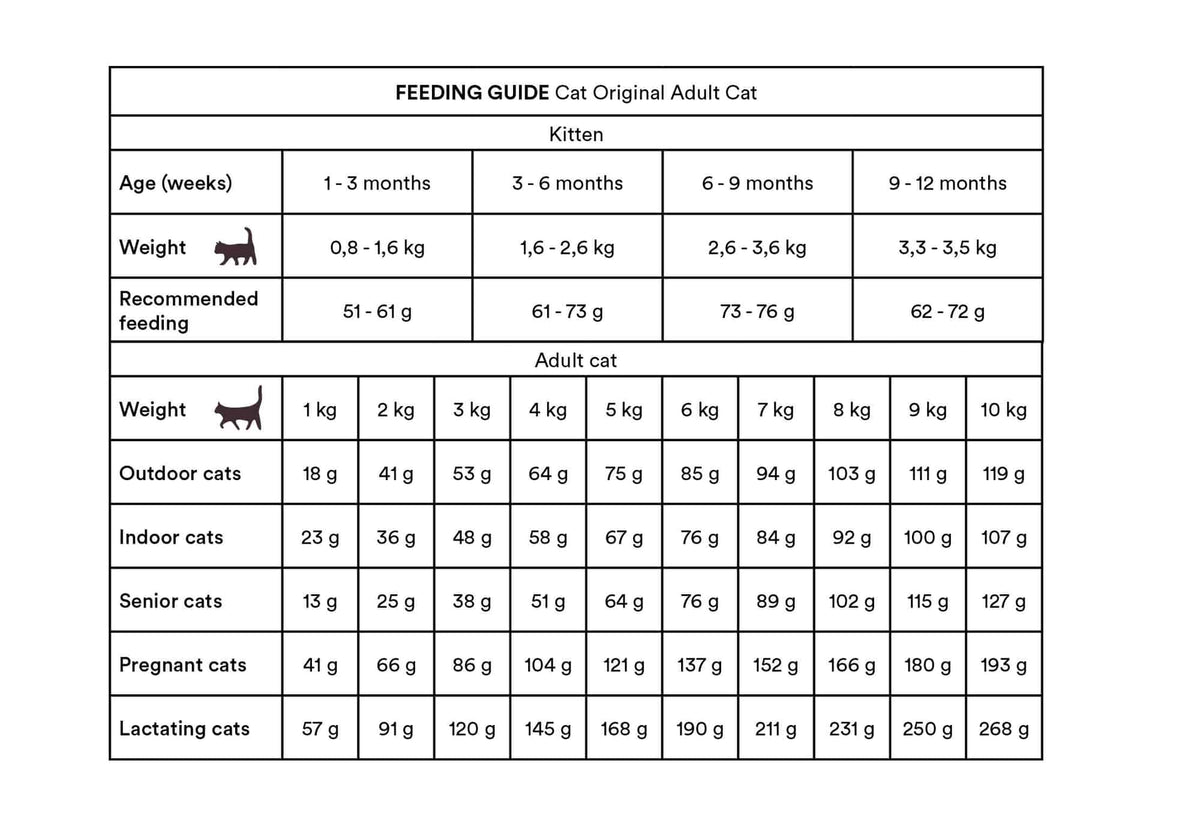 Monster Cat Original Adult Chicken-Turkey kissalle