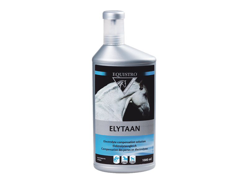 Equistro Elytaan hevoselle 1 L
