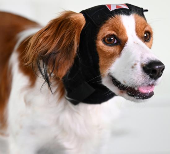 Buster Ear Cover korvasuoja koiralle