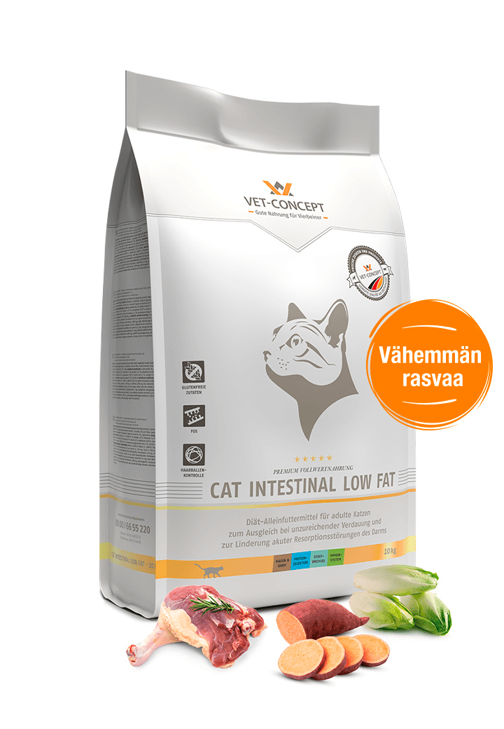Cat Intestinal Low Fat - Vet Concept