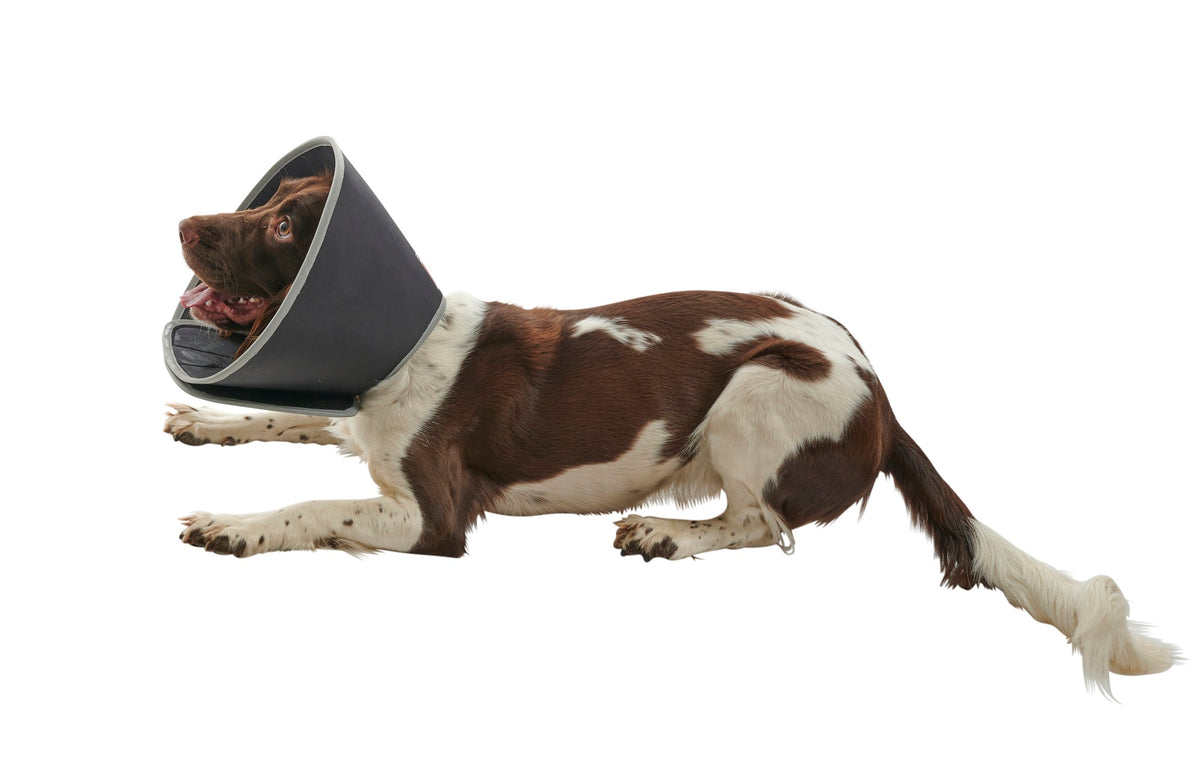 Buster Foam pehmokauluri