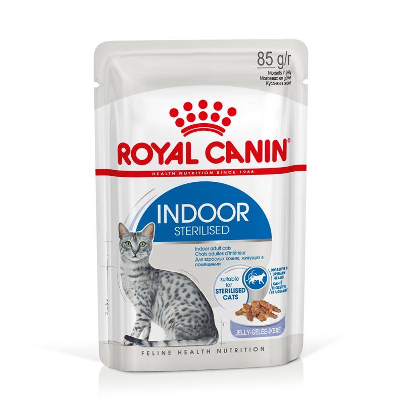 Royal Canin Indoor Sterilised Jelly kissalle 85 g MAISTELUPAKKAUS