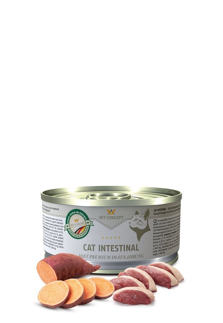 Vet Concept Kissamenu Intestinal 6 x 200 g
