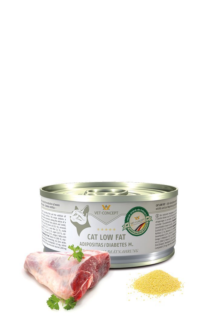 Vet Concept Kissamenu Low Fat 200 g PÄIVÄYSTARJOUS